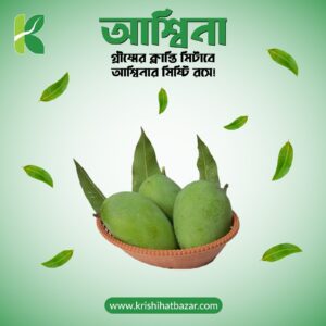 আশ্বিনা (Asshina)