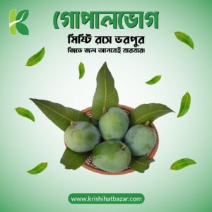 Gopalvog (গোপালভোগ)